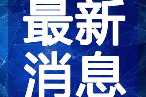 大头叔叔最新爆料视频,揭秘娱乐圈惊人内幕！